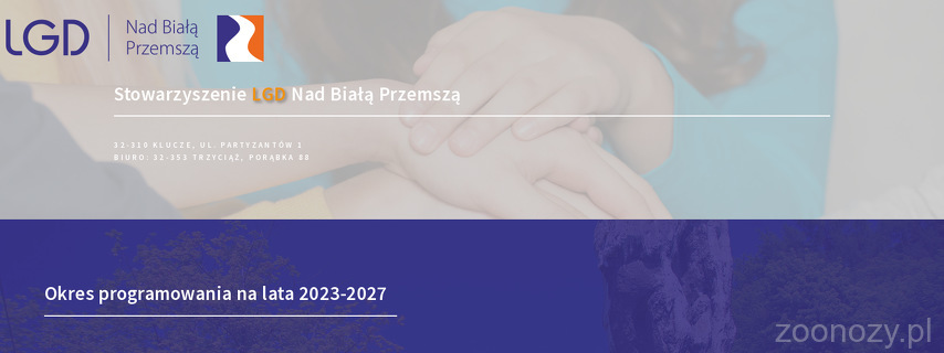 STOWARZYSZENIE LOKALNA GRUPA DZIAŁANIA NAD BIAŁĄ PRZEMSZĄ